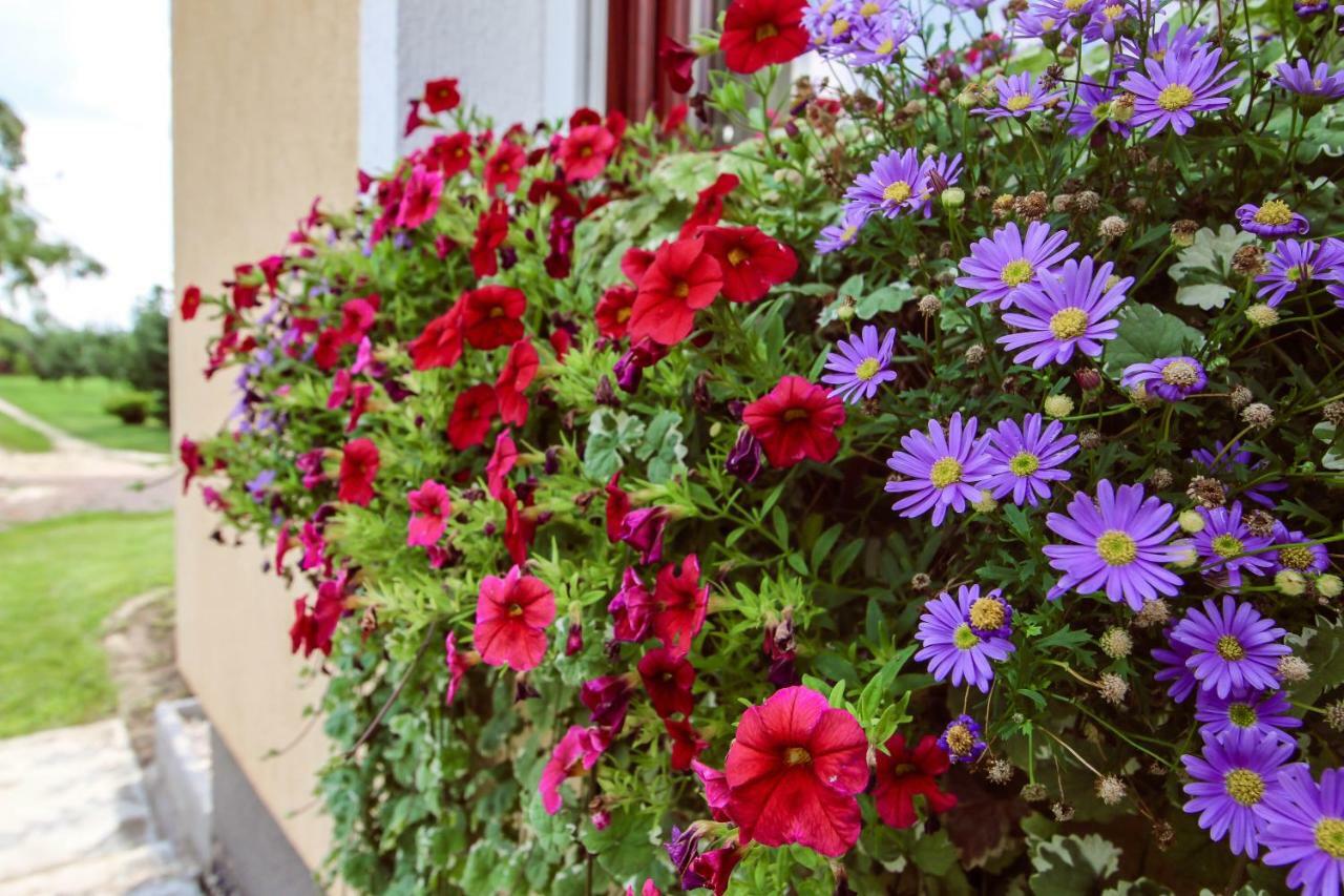 Viharsarki Apartman Gyula Exterior photo